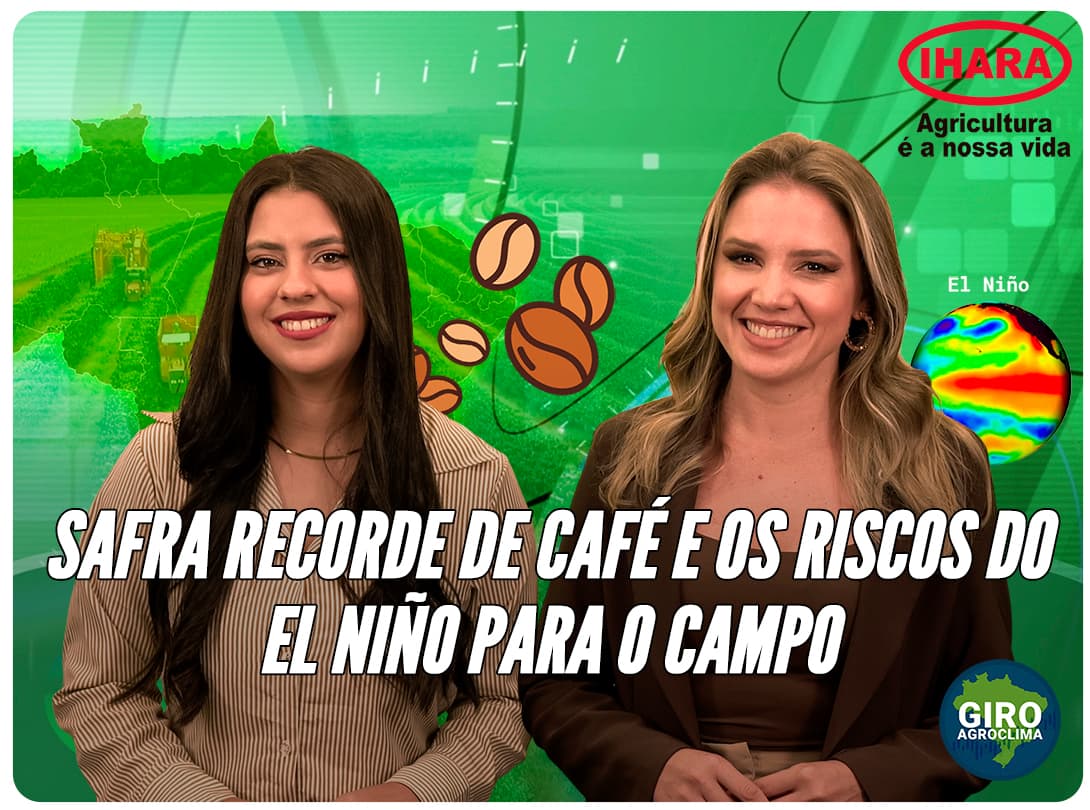 Thumbnail da notícia