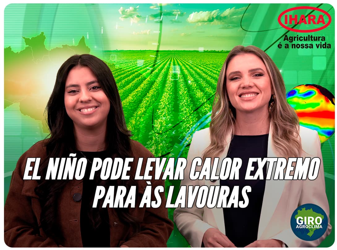 Thumbnail da notícia