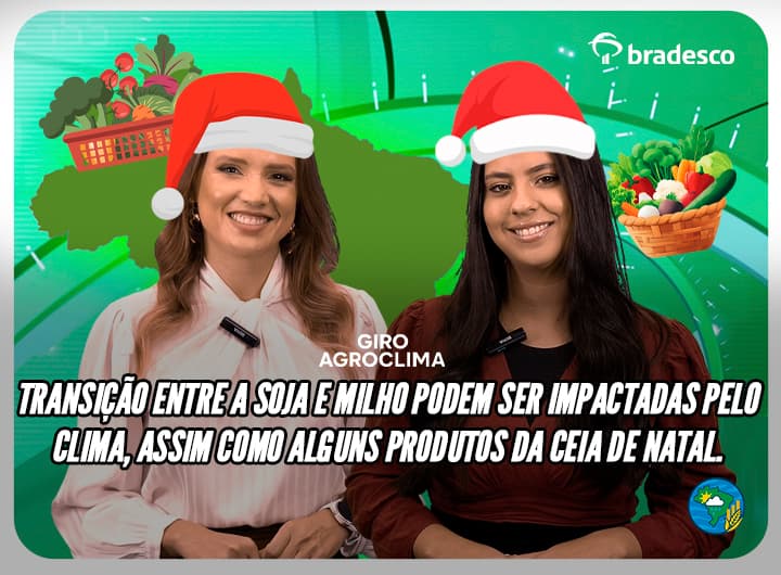 Thumbnail da notícia Thumbnail da notícia